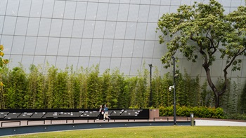 在城东志旁种植的竹树形成一个从建筑环境向毗邻绿肺过渡的环境。